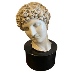 1920s Plaster Italian Cast Head of A Roman Emperor