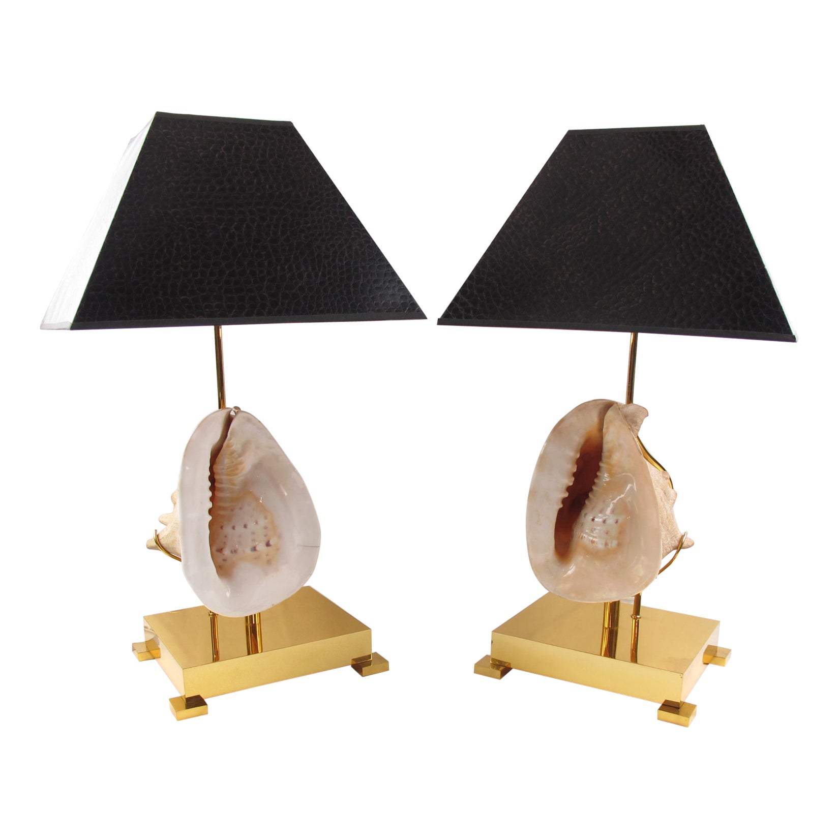 Willy Daro Brass Table Lamps with Mounted Seashell, a pair