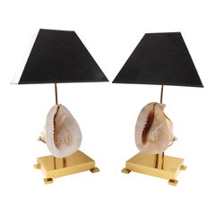 Willy Daro Brass Table Lamps with Mounted Seashell, a pair