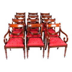 12 Regency Revival-Esszimmerstühle mit Swag-Rücken, 20. Jahrhundert