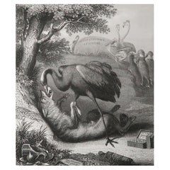 Original Antique Print After Heinrich Leutemann, Reynard the Fox and the Crane