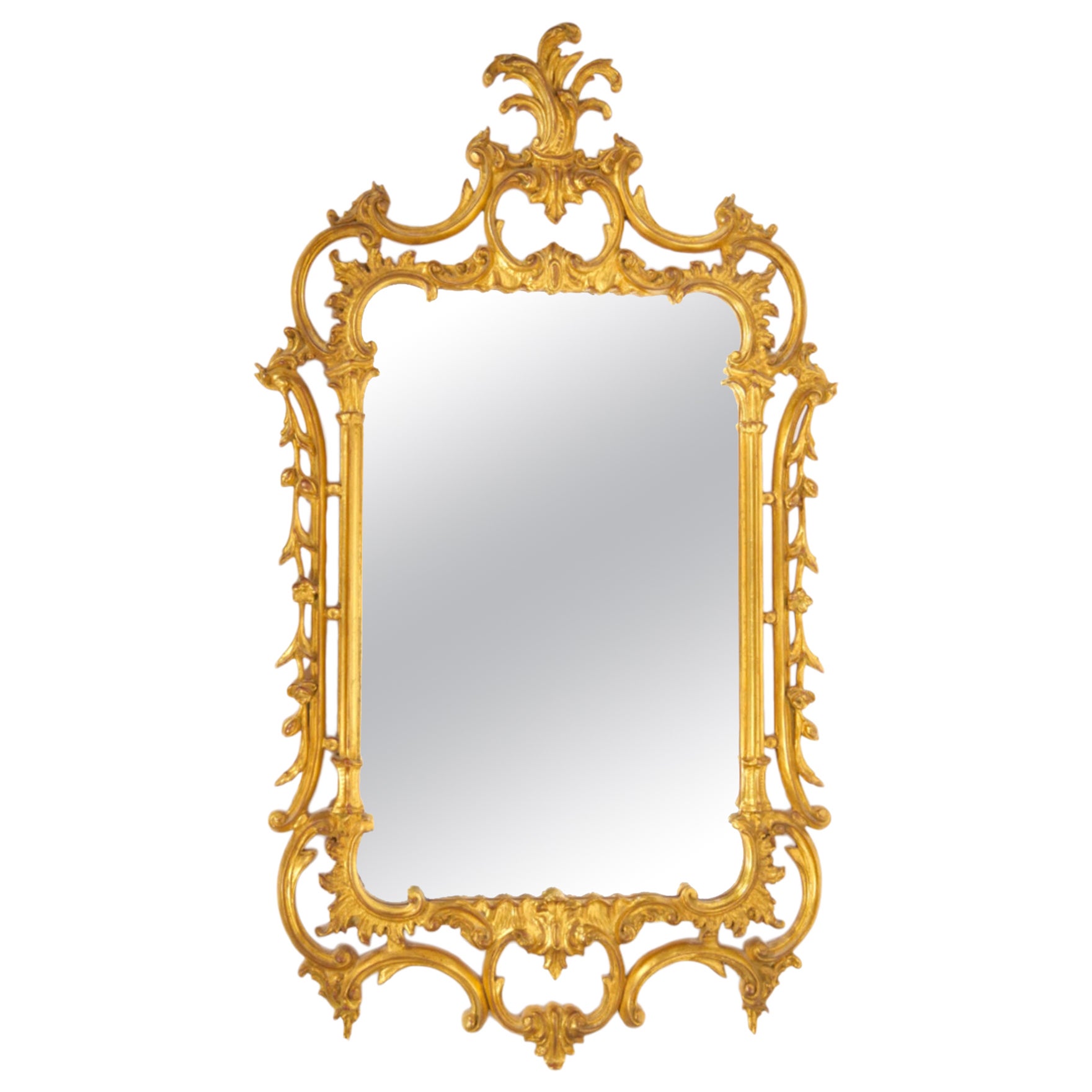 French Rococo Style Gilt Wood Frame Hanging Wall Mirror