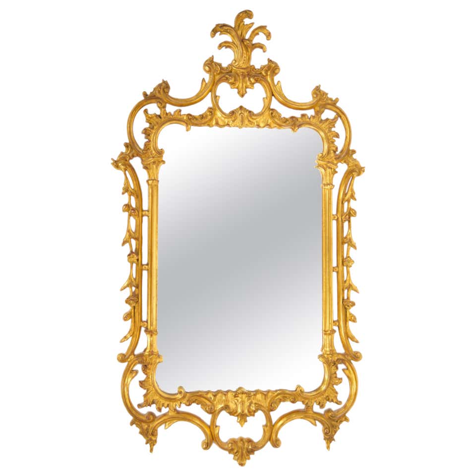 French Rococo Oval Mirror with 24-Karat Gold Gilt and Foliage Details ...