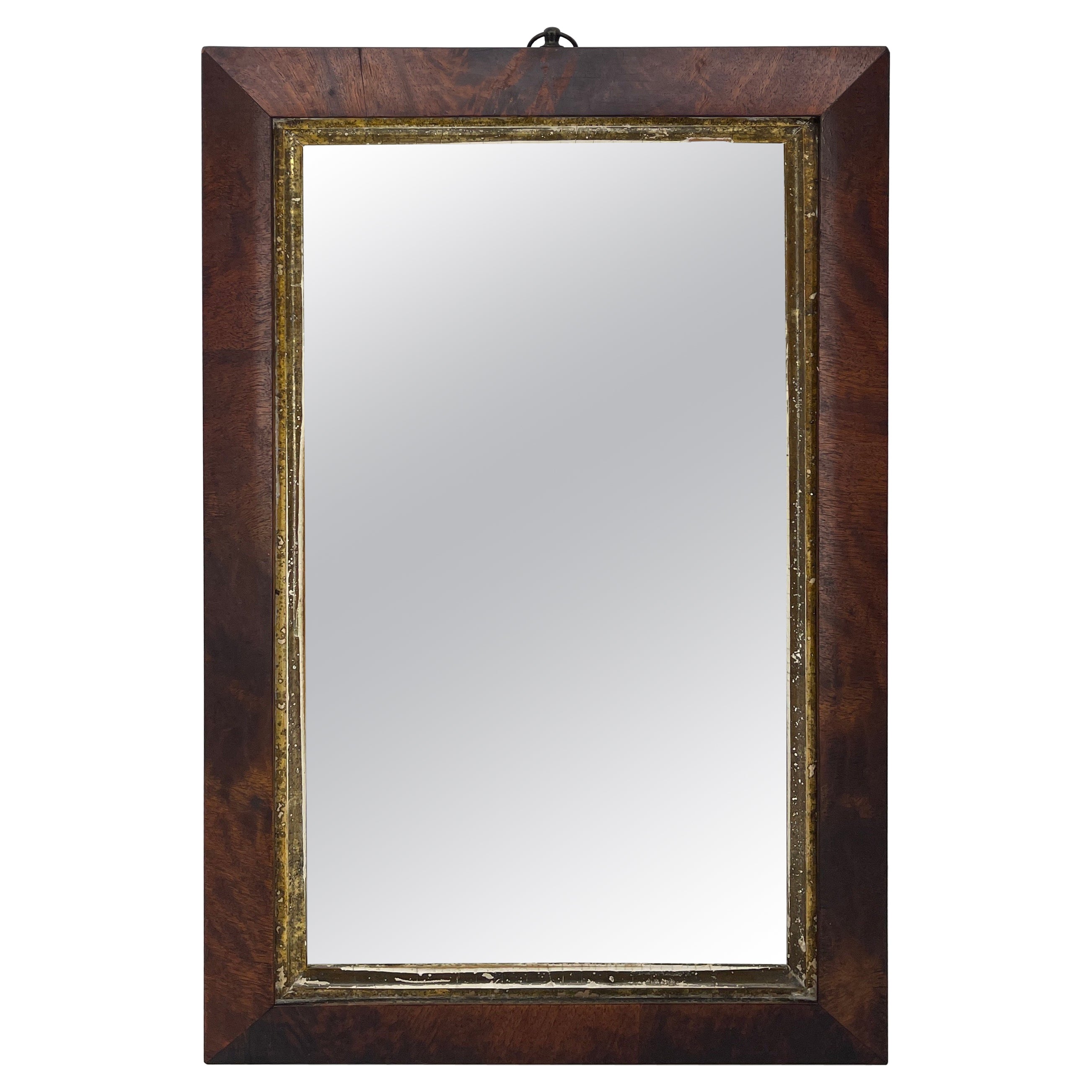 Small English Rectangular Mahogany and Gilt Wall Mirror For Sale