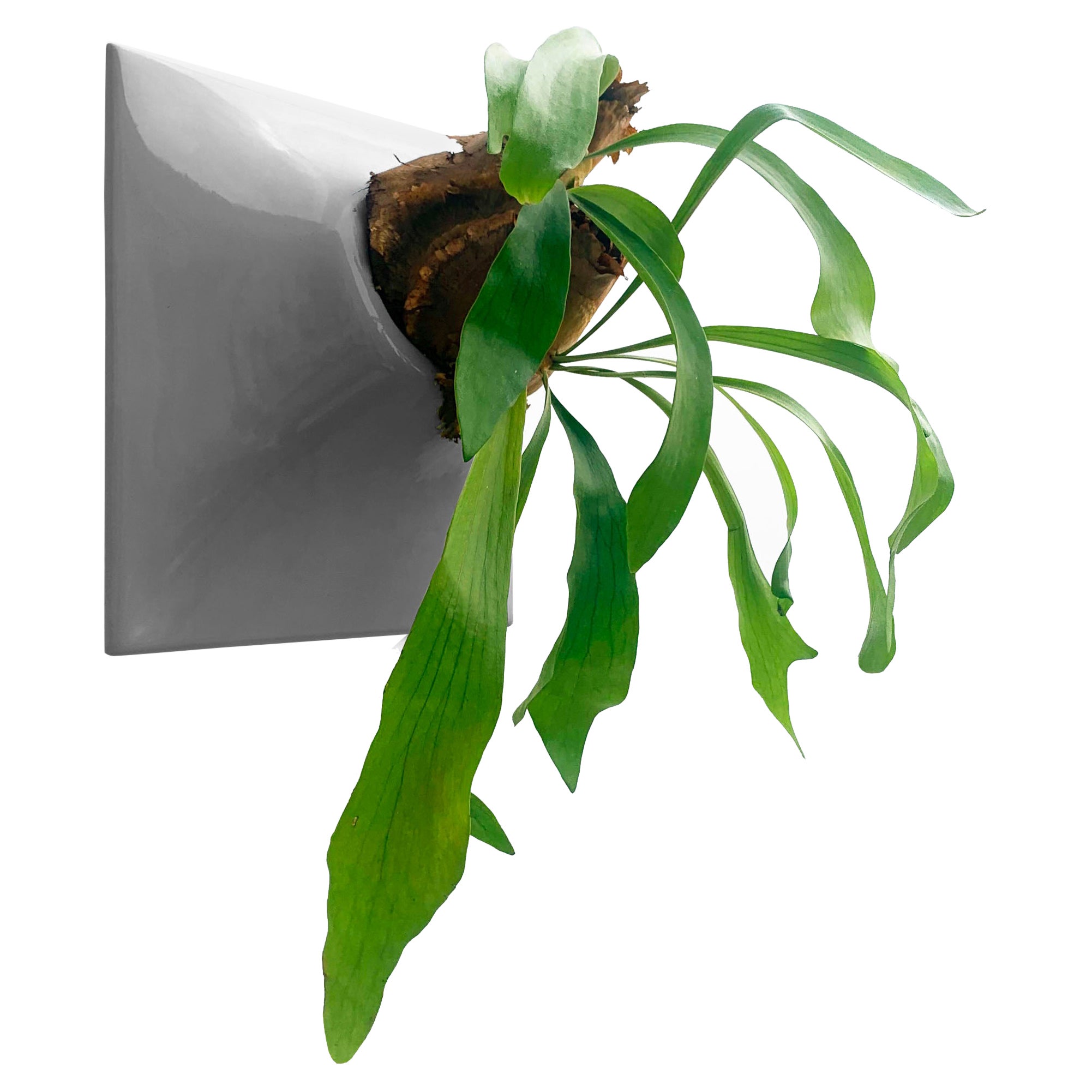 Modern Gray Wall Planter Sculpture Mid Century Modern Decor Node 6 