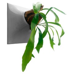 Modern Gray Wall Planter, Plant Wall Sculpture, Living Decor, Node 15" X Large D
