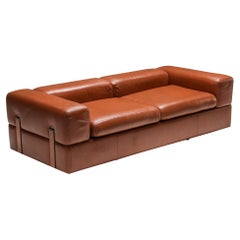 Postmodern Two-Seater Sofa by Tito Agnoli for Cinova in Cognac Leather, 1960's