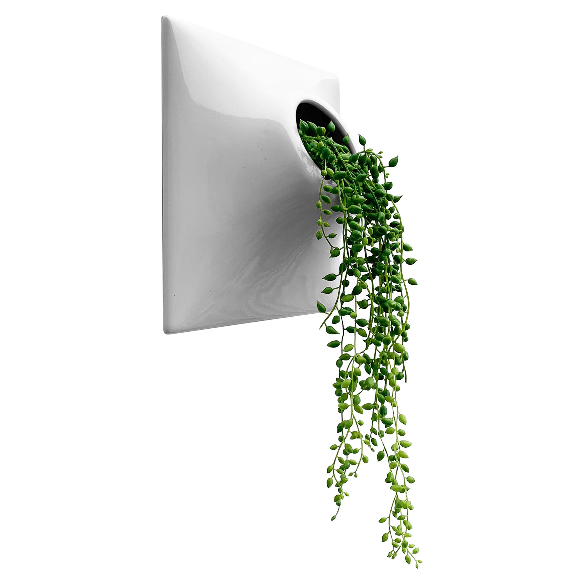 Modern Gray Wall Planter, Plant Wall, Living Wall Sculpture, Node 9" Medium, LTG For Sale