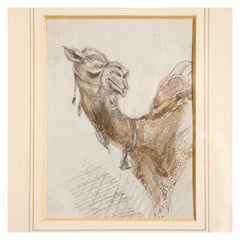 Watercolour Study of a Camel by Sir Charles Walters D'Oyly, 19th Century Antique