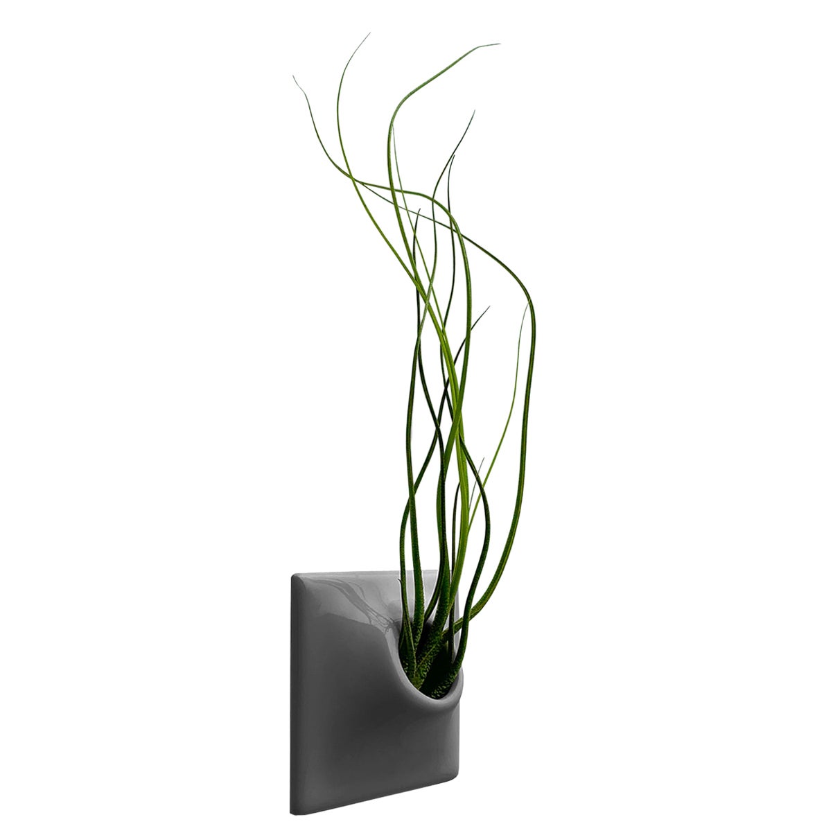 Modern Gray Wall Planter, Air Plant Holder, Living Wall Decor, Node 3" X Small D For Sale