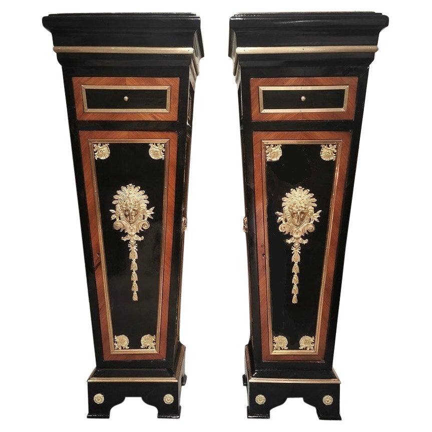 Napoleon III Style Pair of Pedestal Columns, France For Sale