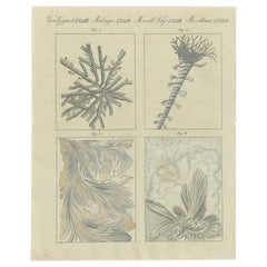 Stampa antica originale di vetri di finestre congelati