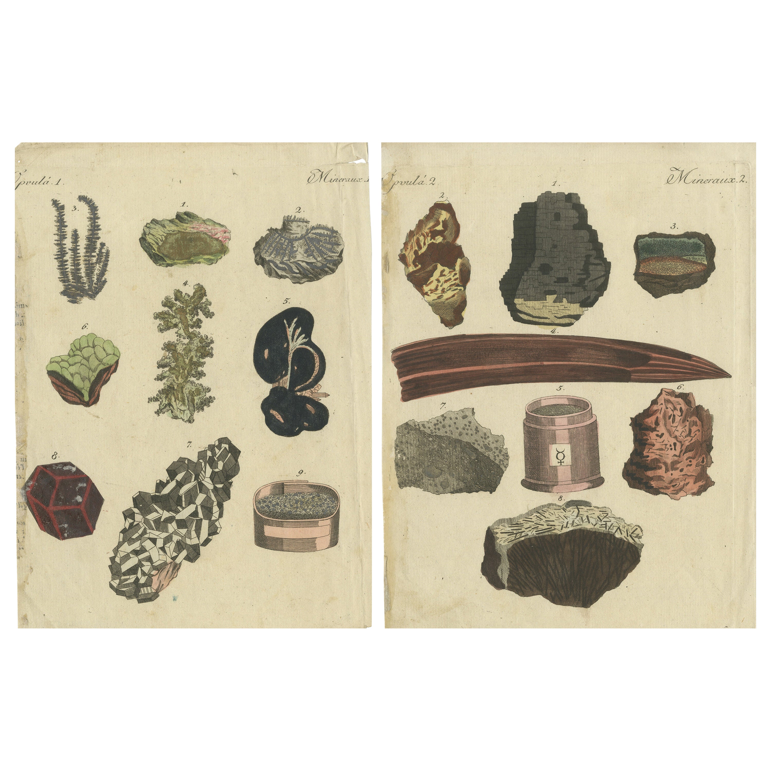 Set di due stampe antiche di vari minerali tra cui oro, argento e mercurio