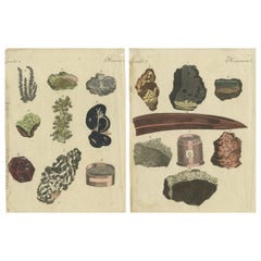 Set of Two Antique Prints of Various Minerals Including Gold, Silver and Mercury