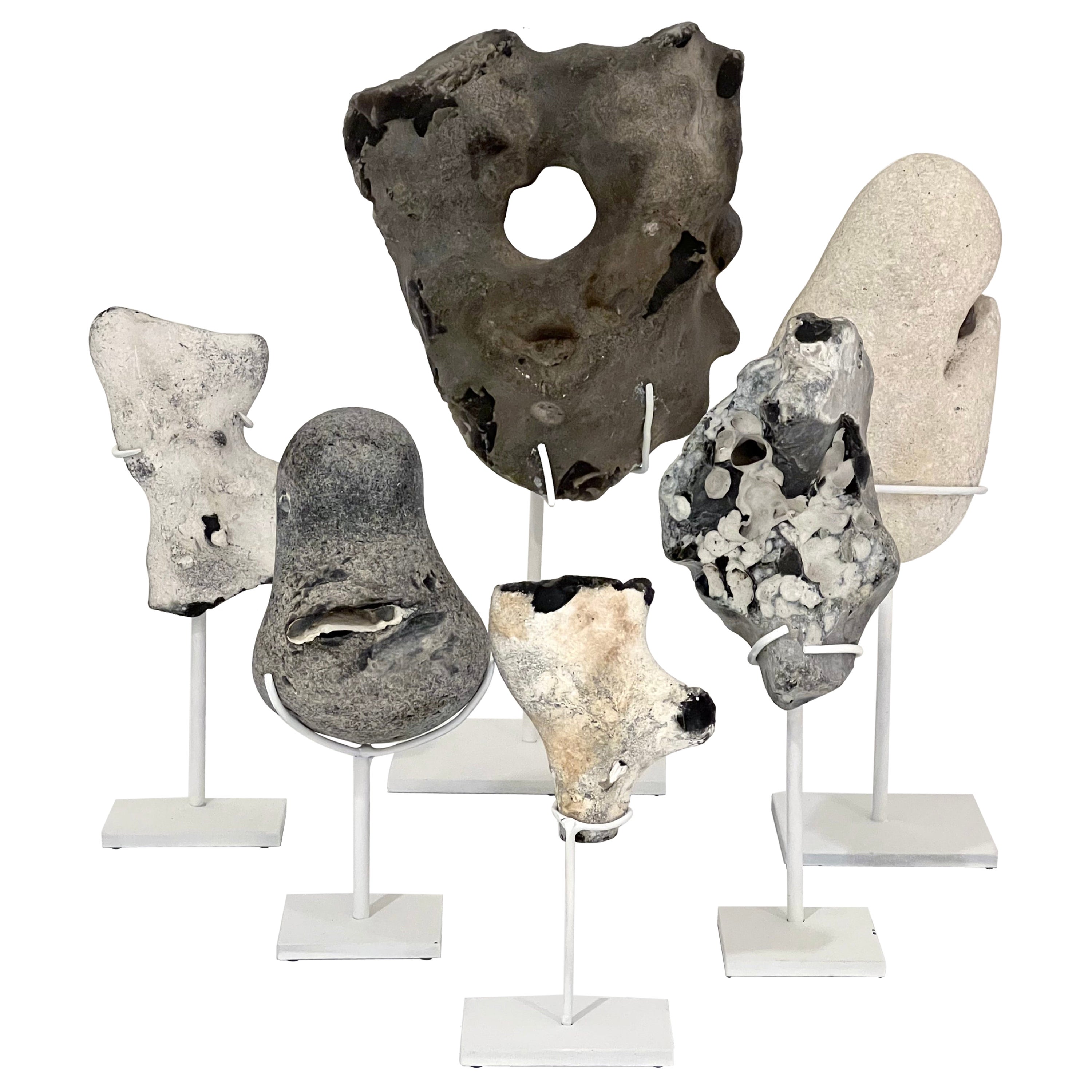 Group of Mounted Natural Sea Stone Specimens from Denmark For Sale