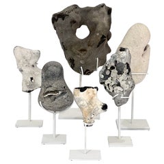 Group of Mounted Natural Sea Stone Specimens from Denmark