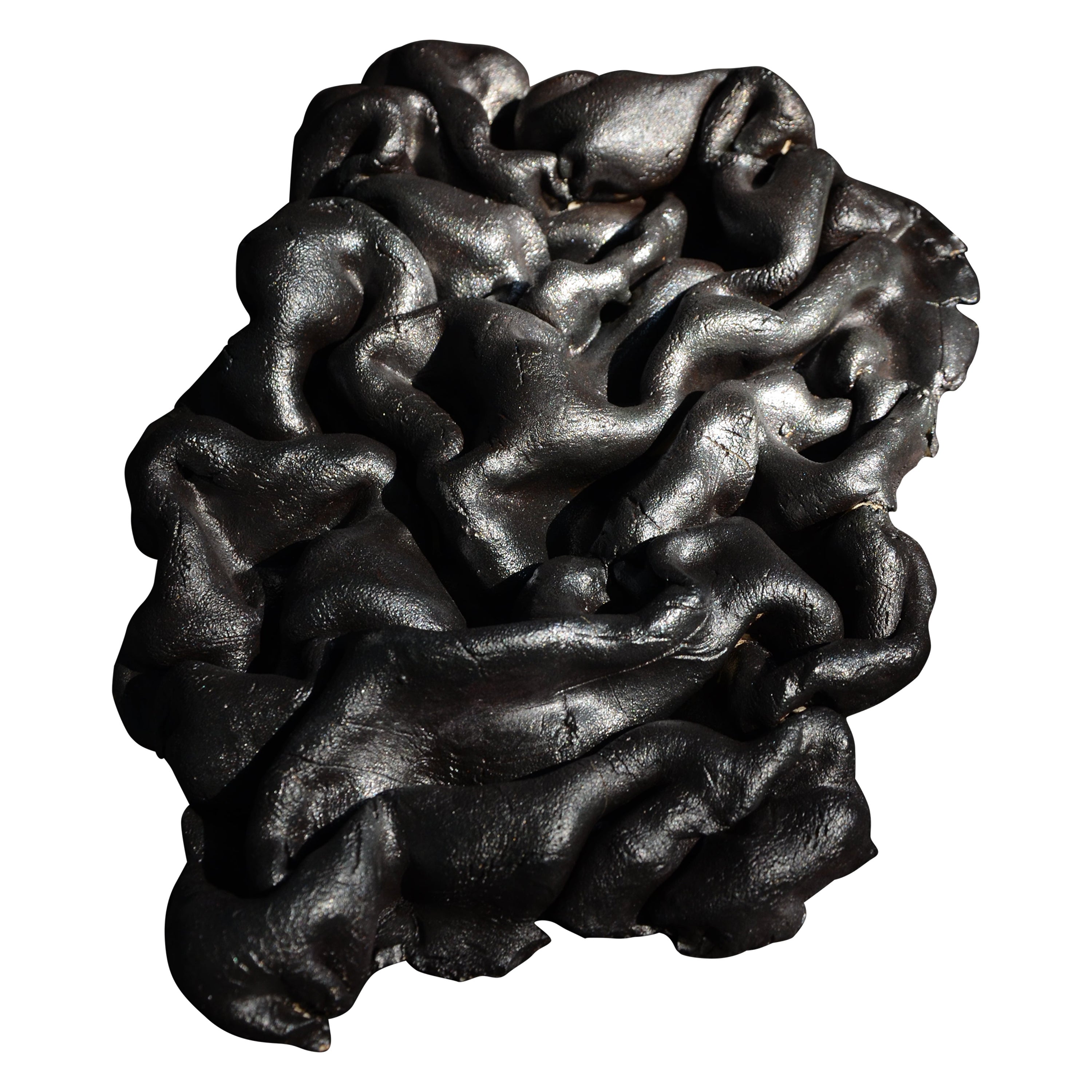 Sculpture en peau de bronze de Vica Ceramica