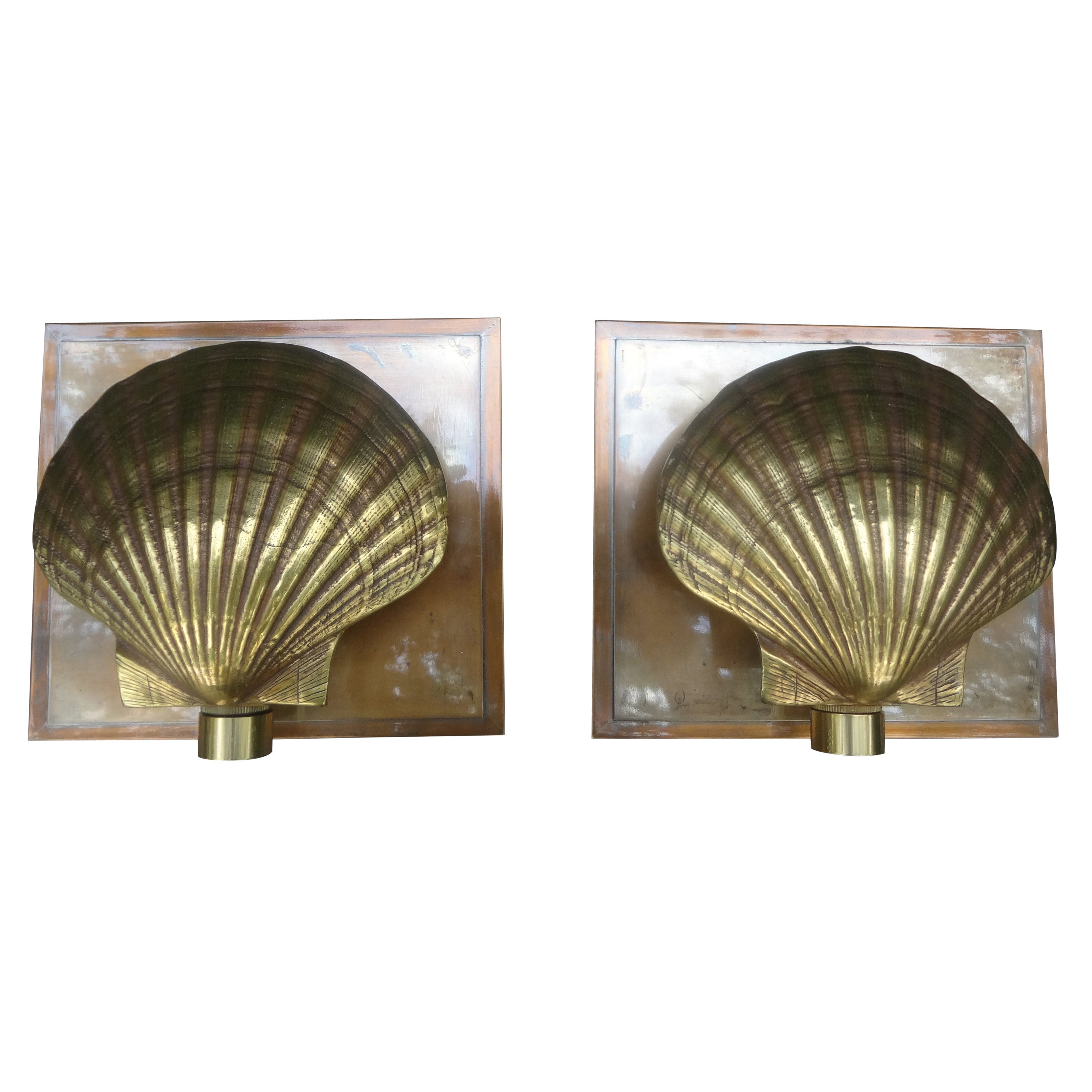 Pair of Italian Brass Seashell Sconces