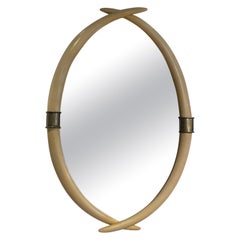 Chapman Used 1970s Iconic Faux Elephant Tusk Mirror Brass Trim