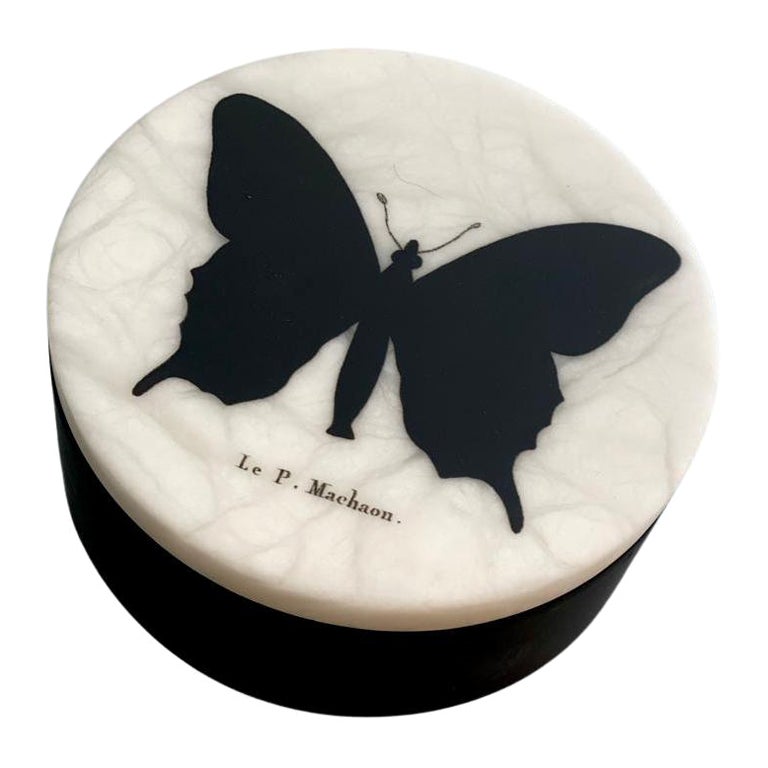 Boîte contemporaine italienne « Noir et Wild » en albâtre en forme de papillon - 1 de 2