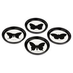 Italian Contemporary "Black and Wild" Butterfly Resin Coasters Set of 4