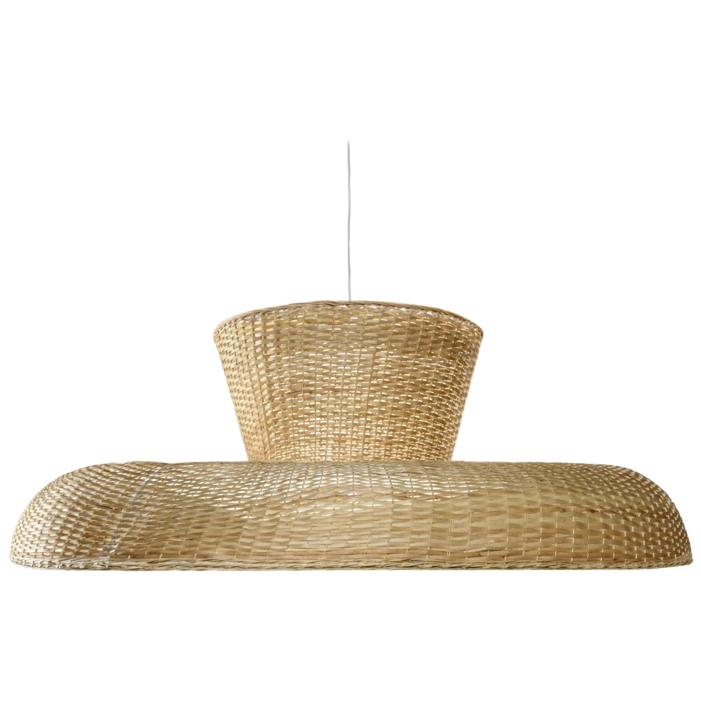 Willow Contemporary Pendant Lamp by Faina