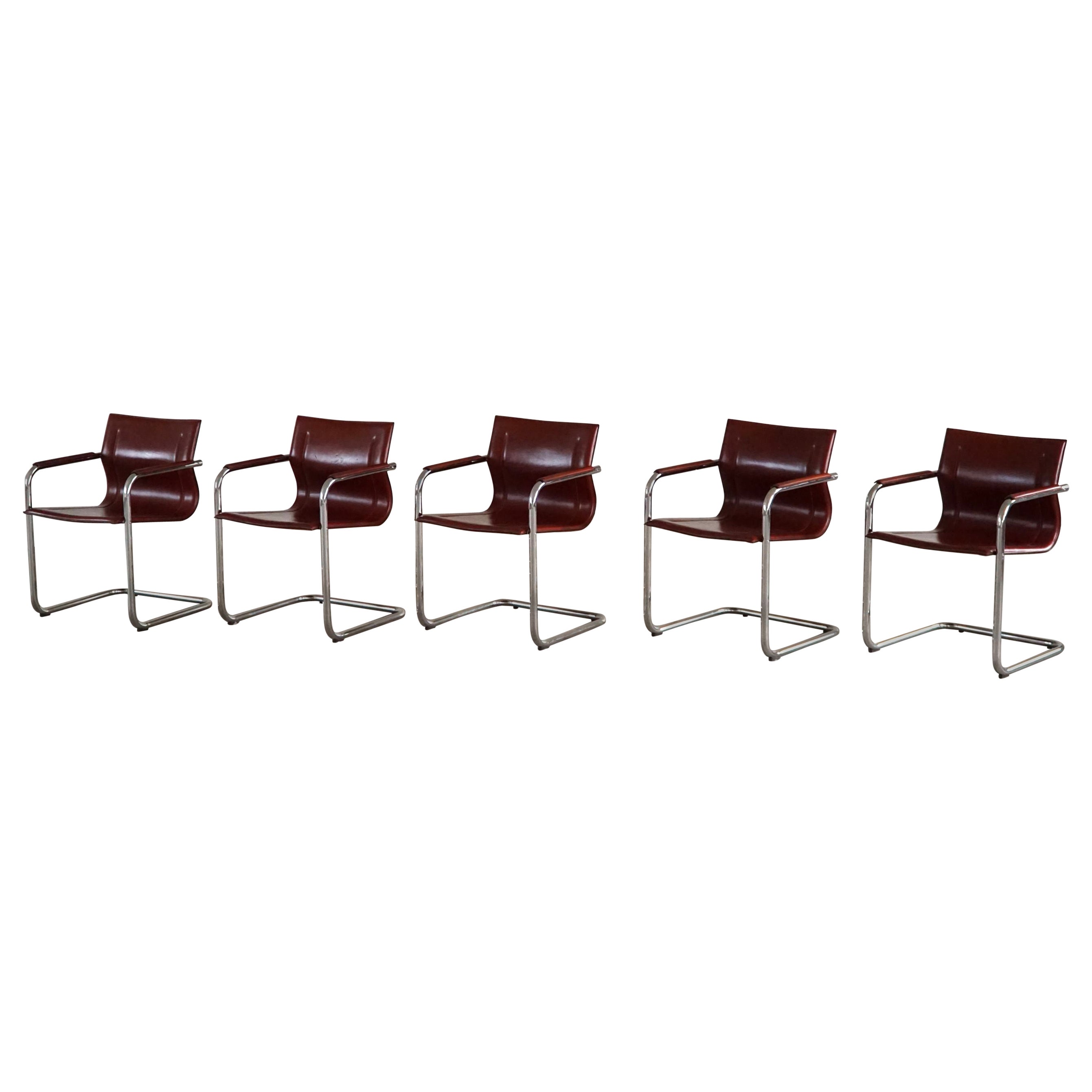 Set of 5 Cantilever Armchairs in Leather by Matteo Grassi, Model MG15, Italy 70s