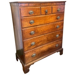 19th Century English Oak Tall Chest of Drawers