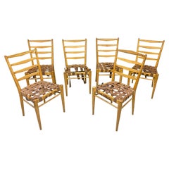Cees Braackman for Editions Pastoé, Set of 6 Chairs