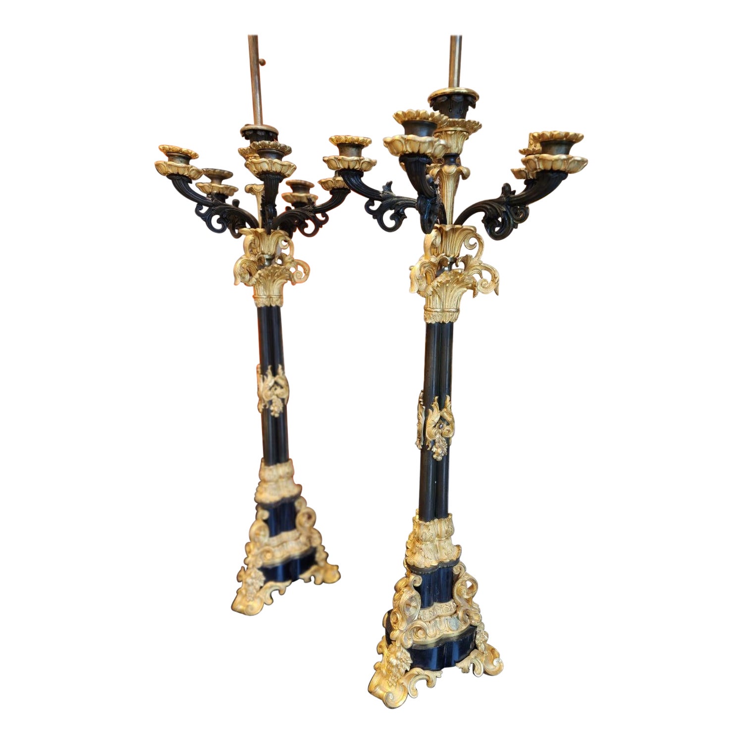 19th Century, French, Rococo Dore Bronze Candelabra Lamp For Sale