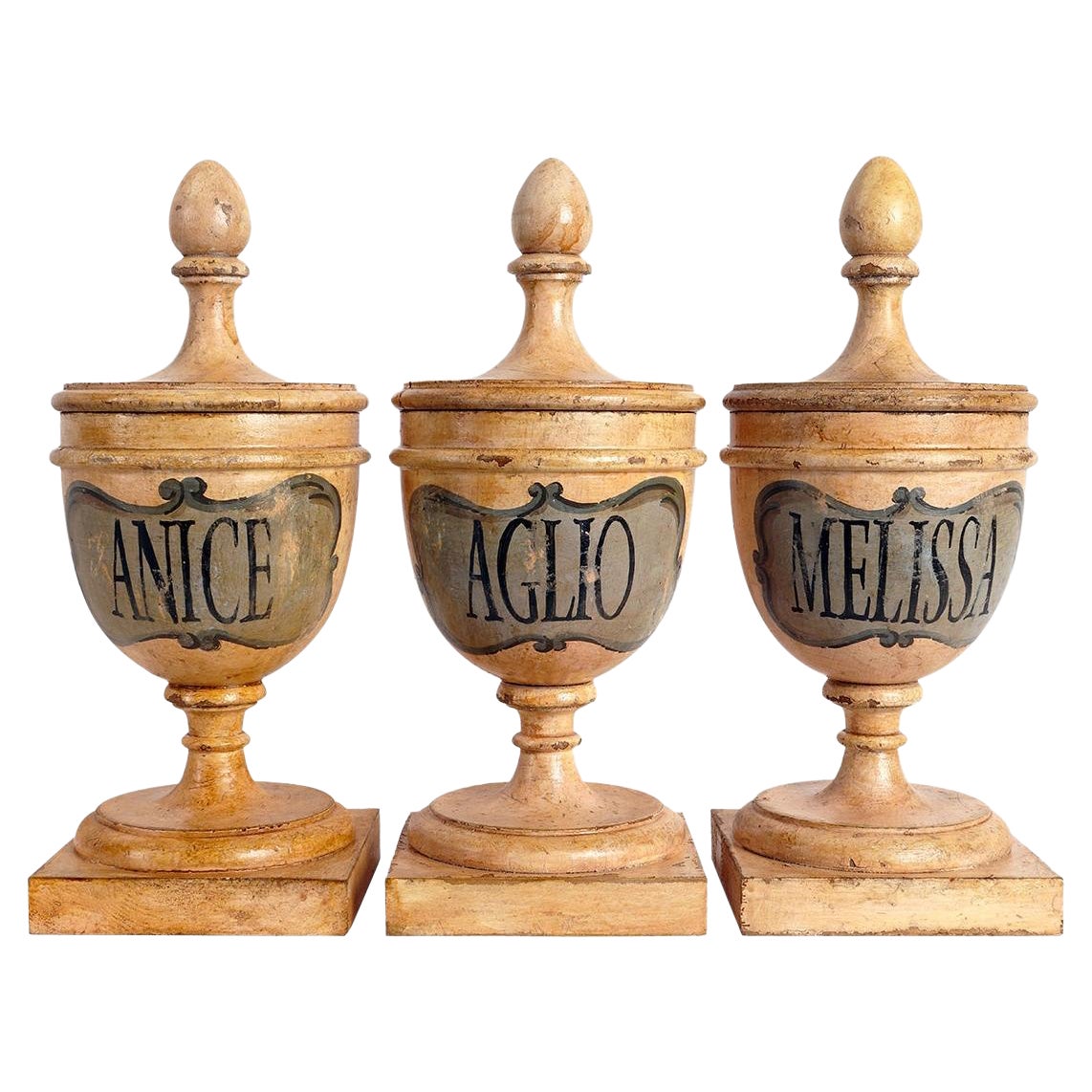 Group of 9 Herbalist Pharmacy Wooden Jars, Italy 1870