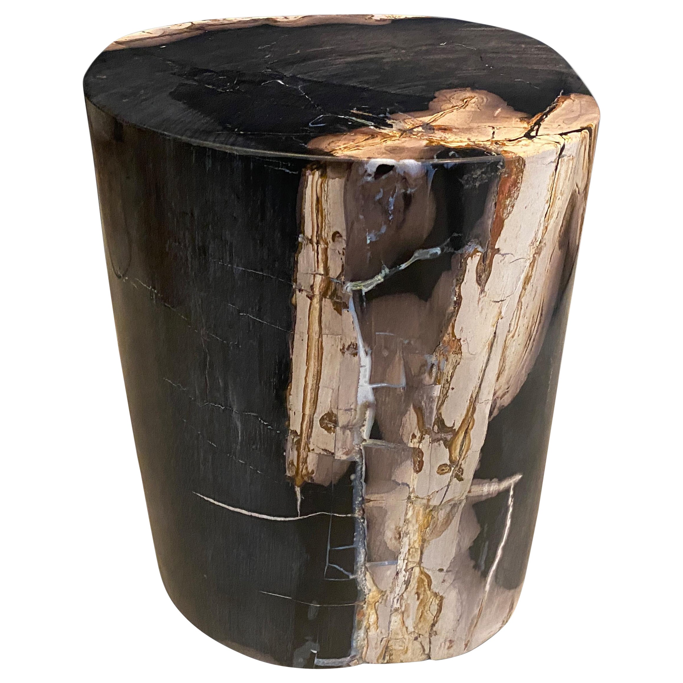 Andrianna Shamaris Super Smooth Black Petrified Wood Side Table at 1stDibs