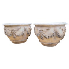 Pair of Large Louis XVI Style Tree Planters from France