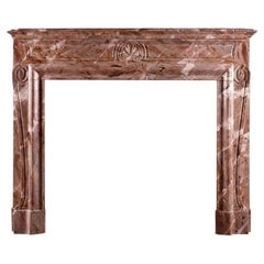 Antique A French Fireplace in Sarrancolin Marble