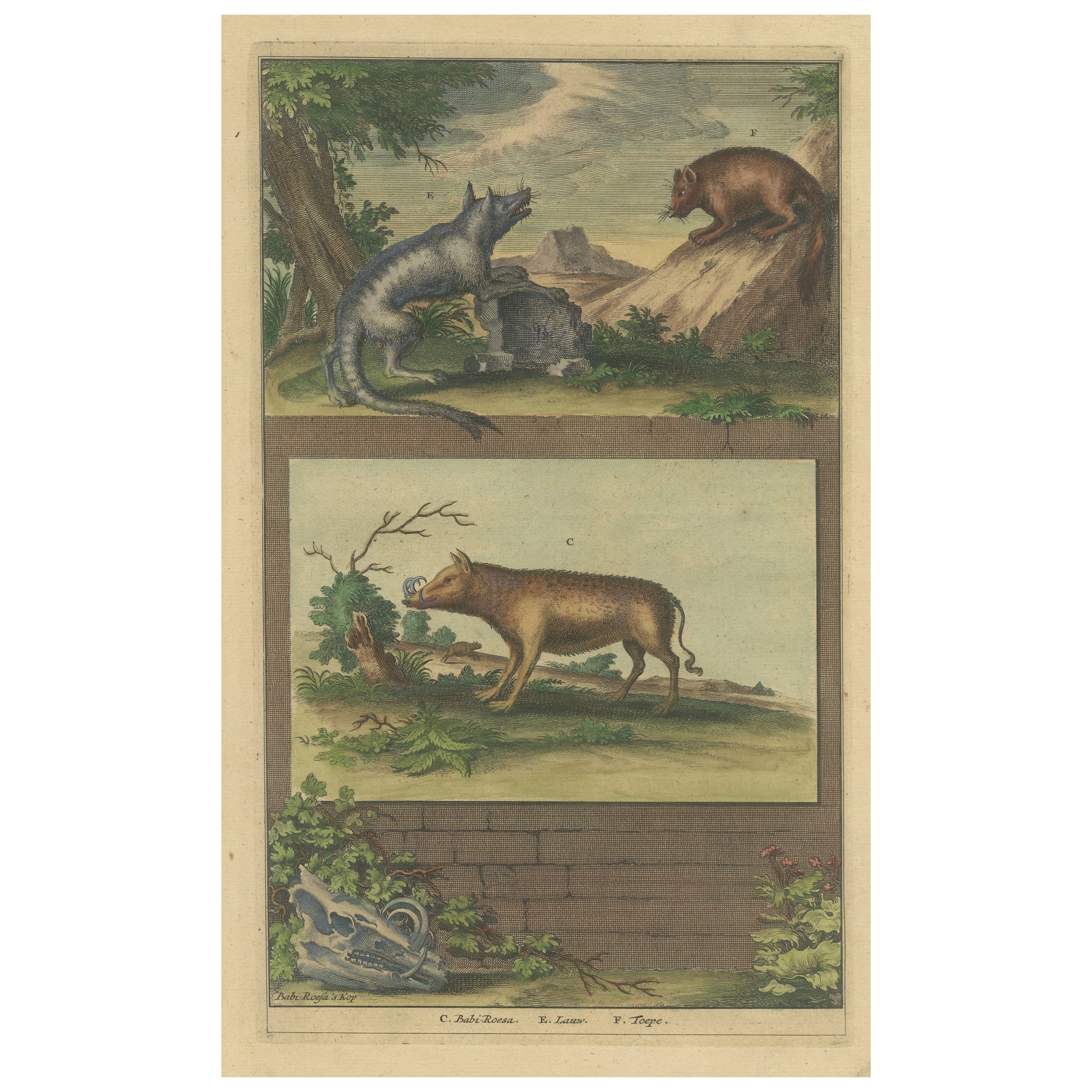 Impression ancienne en couleur d'un babirusa et de deux autres animaux