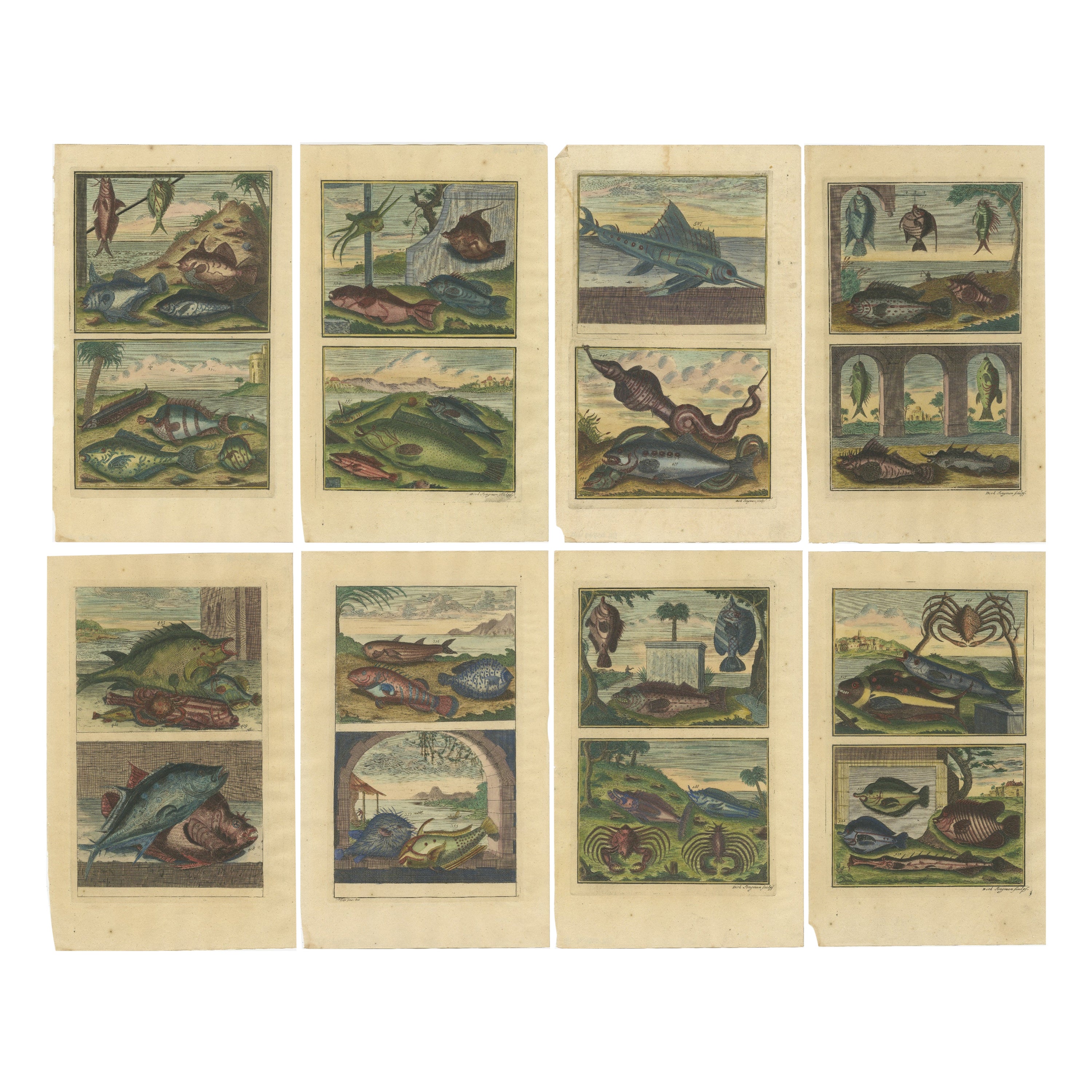 Set von 8 farbigen antiken Drucken von verschiedenen Fischen und Kreuzblumen