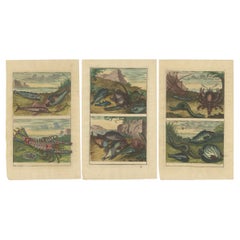 Set of 3 Colored Antique Prints of various Fishes and Crustaceans
