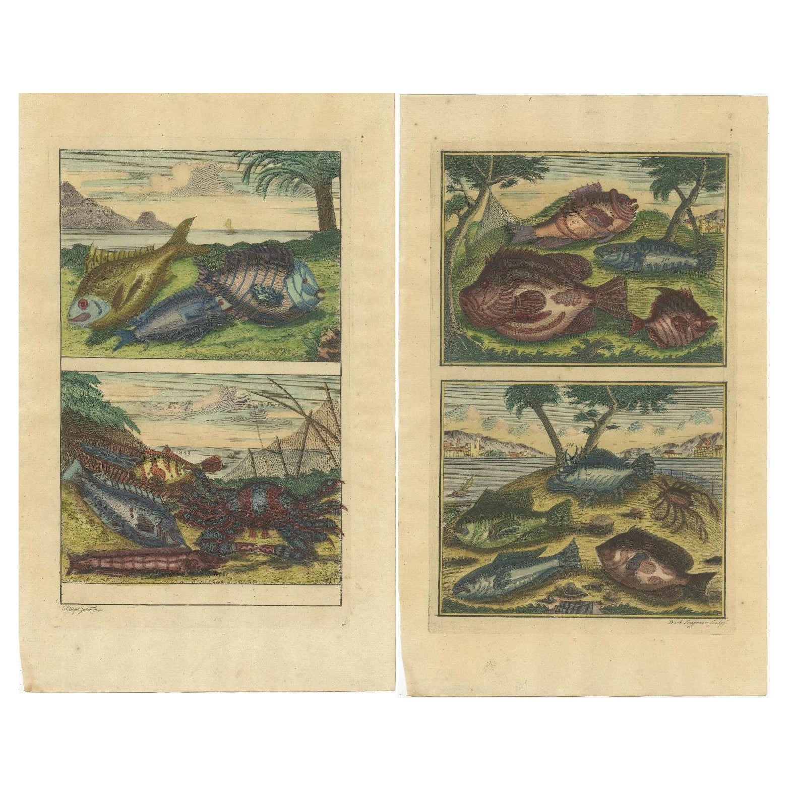 Set aus 2 farbigen antiken Drucken von verschiedenen Fischen und Kreuzblumen