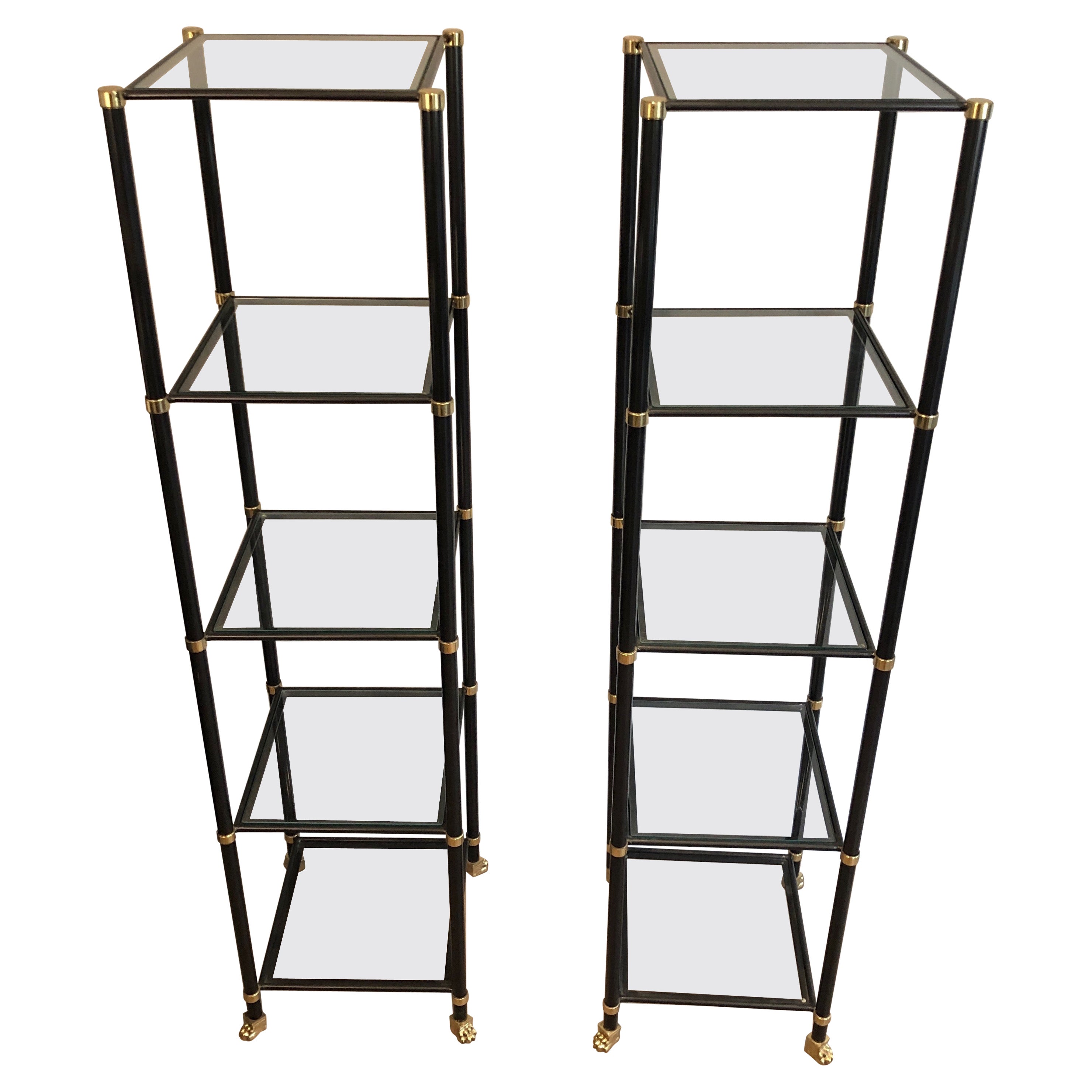 Pair of Shelves in Black Lacquered Metal, Brass, Glass and Bronze with Claw Feet For Sale