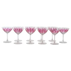 Retro Hand Painted Crystal Champagne Coupe Service / Ten People