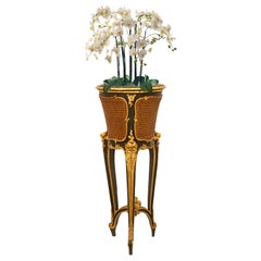 French, 19th Century, Belle Époque Period Polychrome and Giltwood Planter
