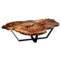 Table basse Live Edge European Elm Cookie