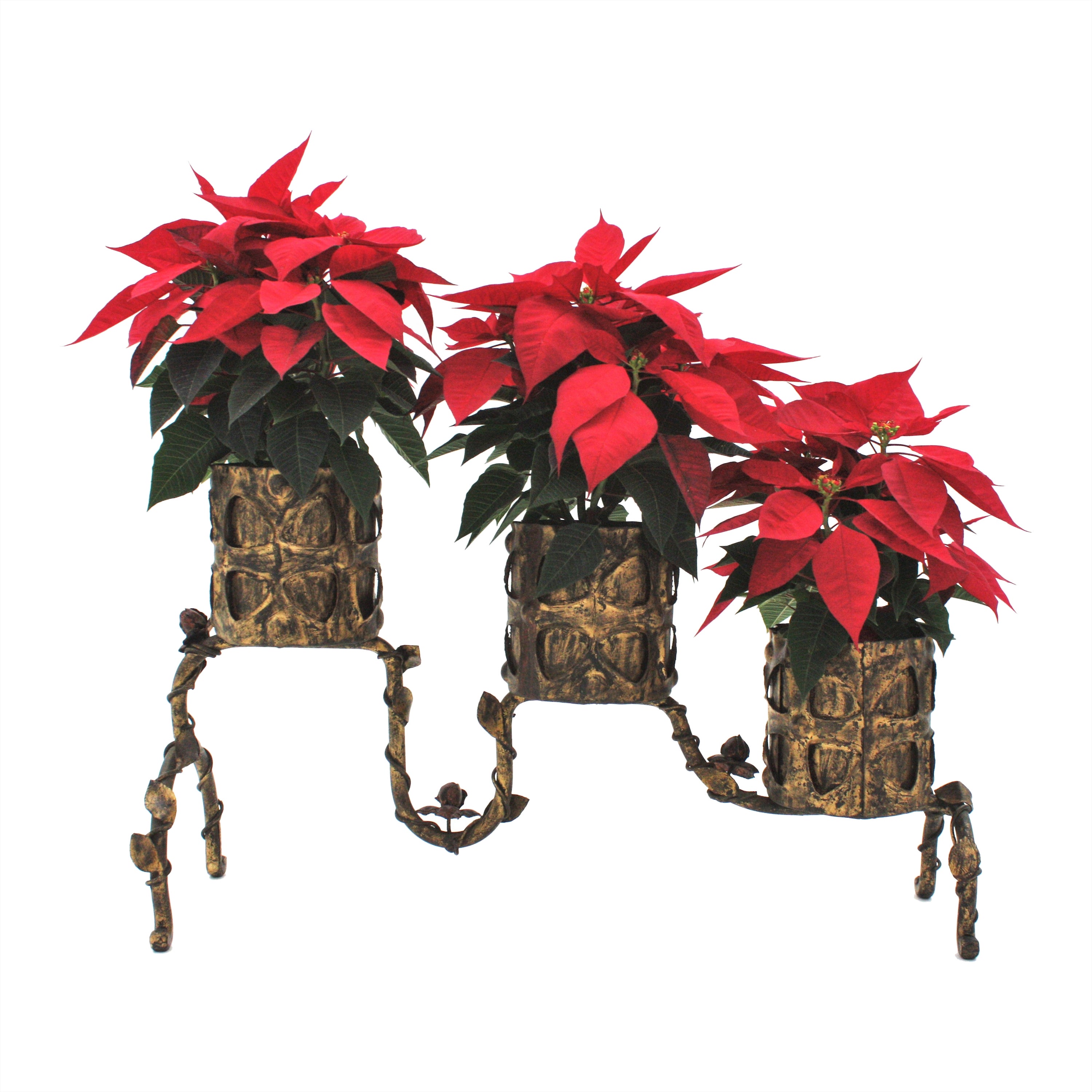 Plant Stand Jardinière with Foliage Floral Design, Gilt Iron