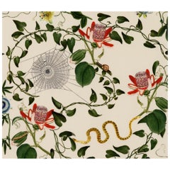 C. Greene Studio’s Absolem in Fawn