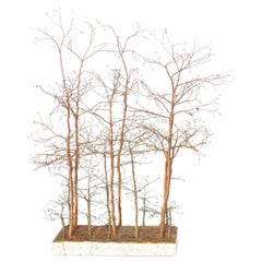 Betulla Rame Artistico Design Italiano Alberi Scultura, 1970