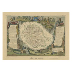 Hand Colored Antique Map of the Department of Tarn, France
