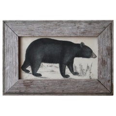 Original Antique Print of a Black Bear, 1847