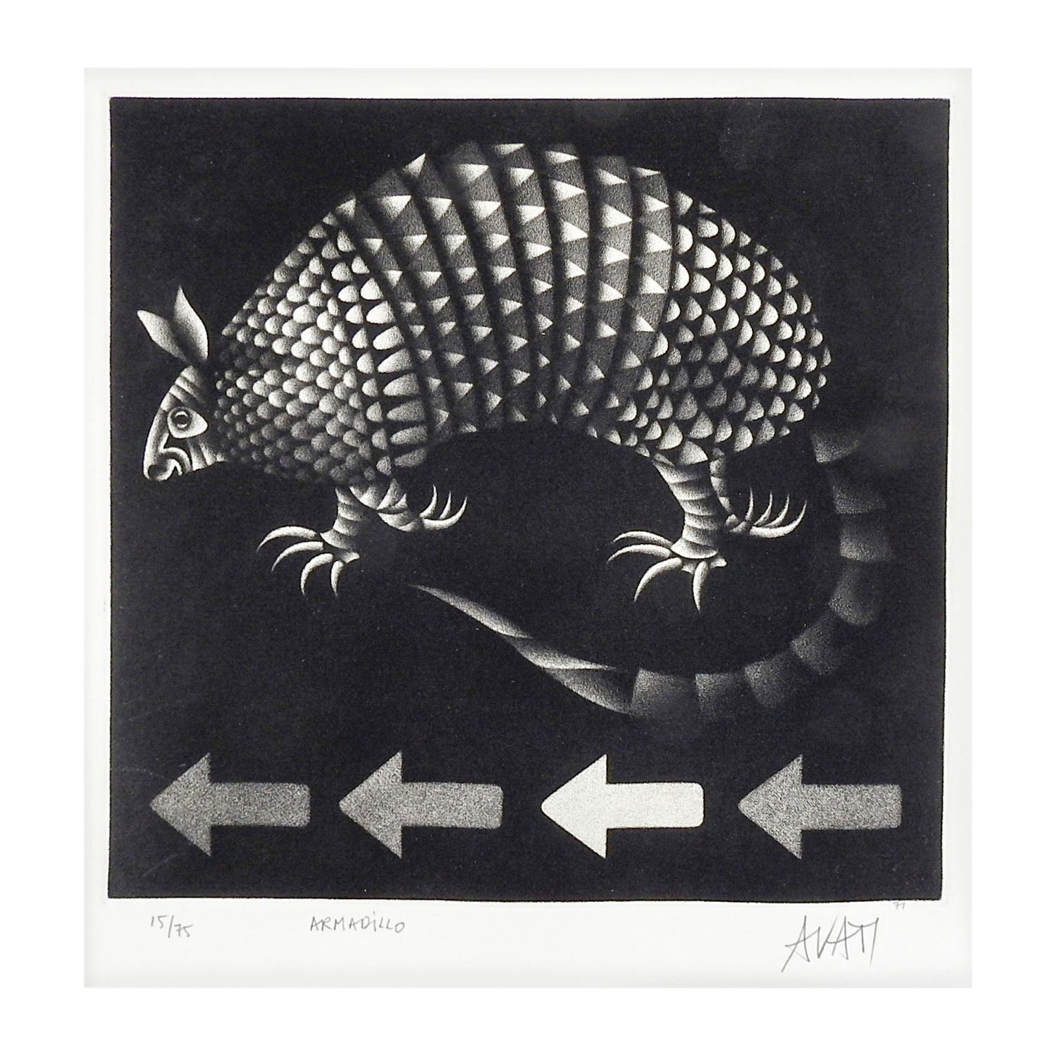 Mid 20th Century Mario Avati Armadillo Mezzotint For Sale