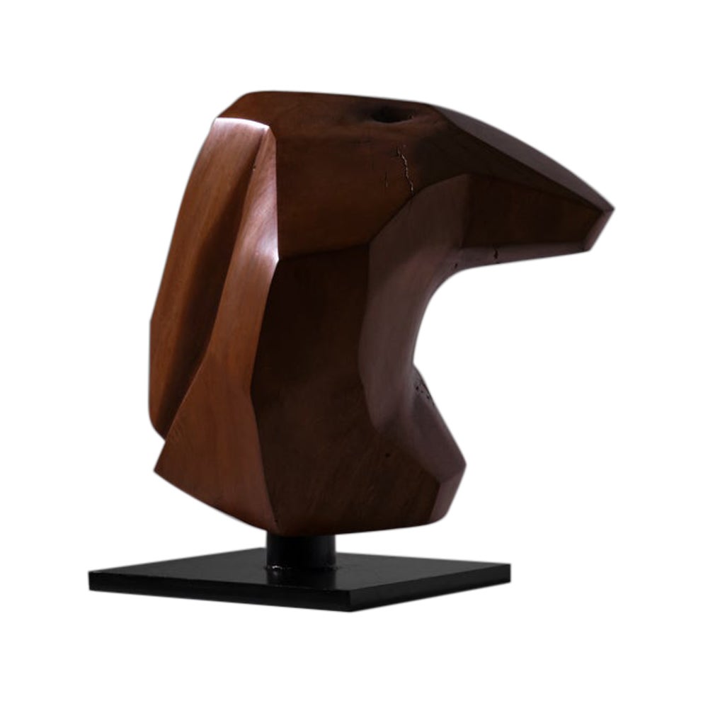 Large Abstract ‘Boulder Shaped’ Wooden Sculpture, France 1970s For Sale