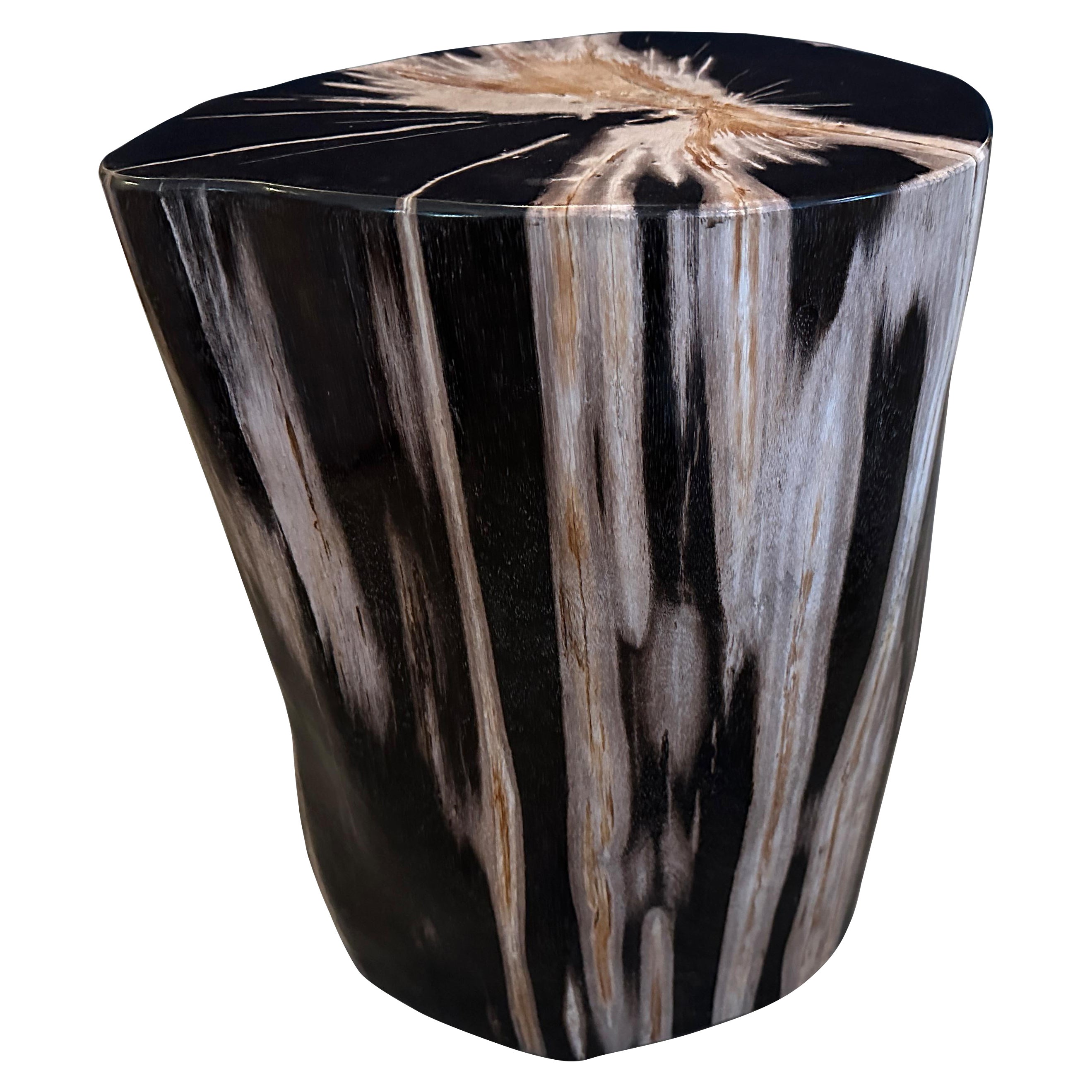 Andrianna Shamaris Super Smooth High Quality Petrified Wood Side Table For Sale